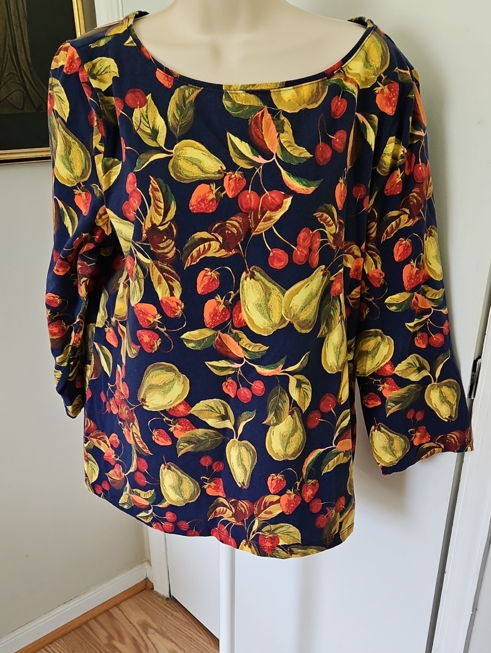 Talbots Painted Fruit Top Size XL